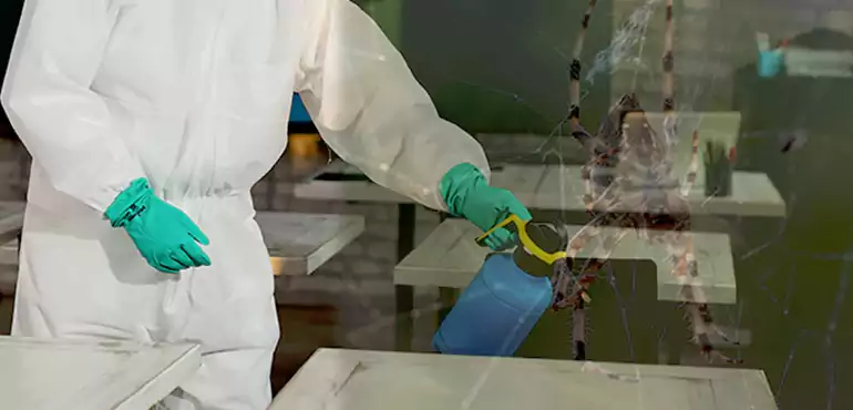 Why Buyers Still Want Homes With Pest Infestations in South Dakota, SD?