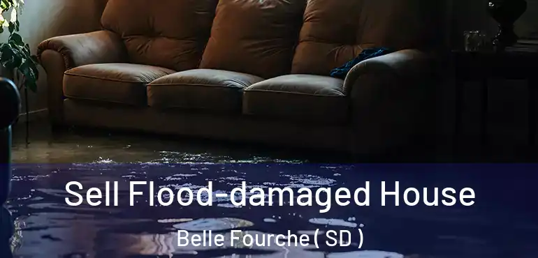  Sell Flood-damaged House Belle Fourche ( SD )
