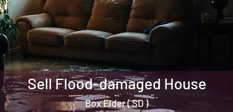  Sell Flood-damaged House Box Elder ( SD )