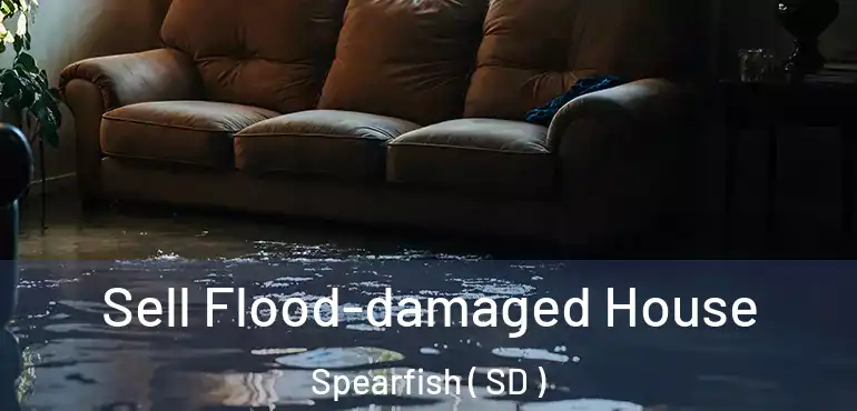 Sell Flood-damaged House Spearfish ( SD )