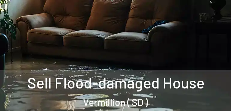  Sell Flood-damaged House Vermillion ( SD )