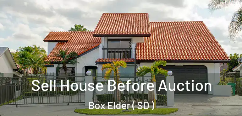  Sell House Before Auction Box Elder ( SD )