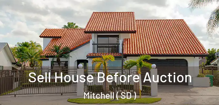  Sell House Before Auction Mitchell ( SD )