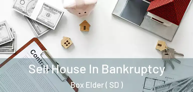  Sell House In Bankruptcy Box Elder ( SD )