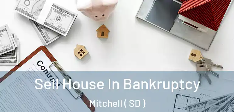  Sell House In Bankruptcy Mitchell ( SD )