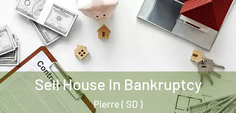 Sell House In Bankruptcy Pierre ( SD )