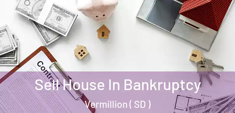  Sell House In Bankruptcy Vermillion ( SD )