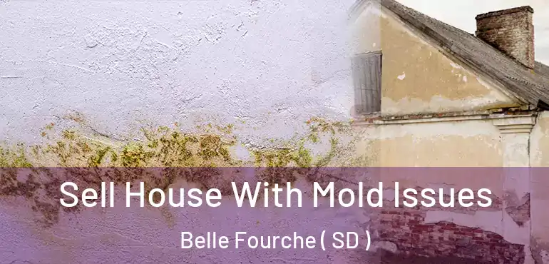  Sell House With Mold Issues Belle Fourche ( SD )