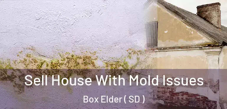  Sell House With Mold Issues Box Elder ( SD )