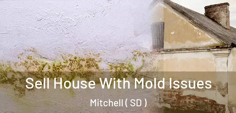  Sell House With Mold Issues Mitchell ( SD )