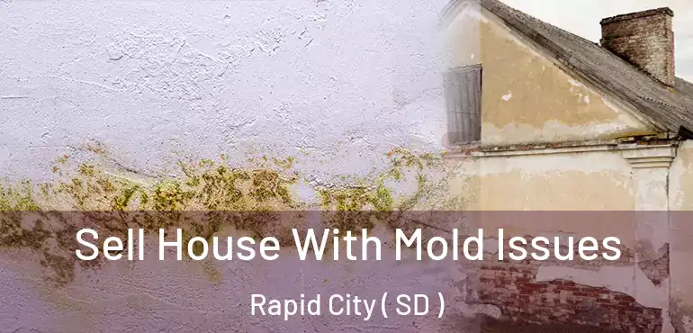  Sell House With Mold Issues Rapid City ( SD )