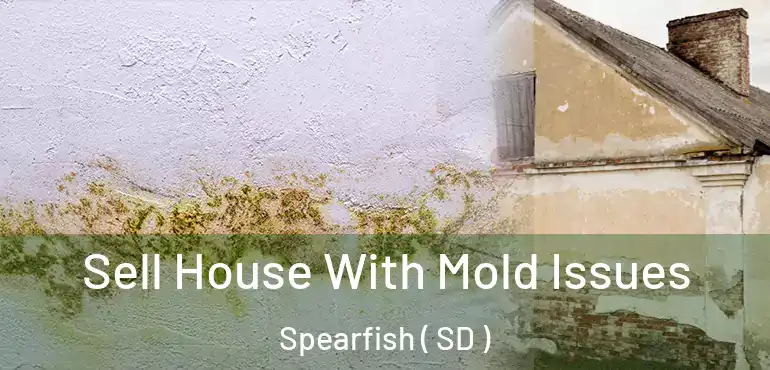  Sell House With Mold Issues Spearfish ( SD )