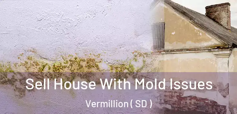  Sell House With Mold Issues Vermillion ( SD )