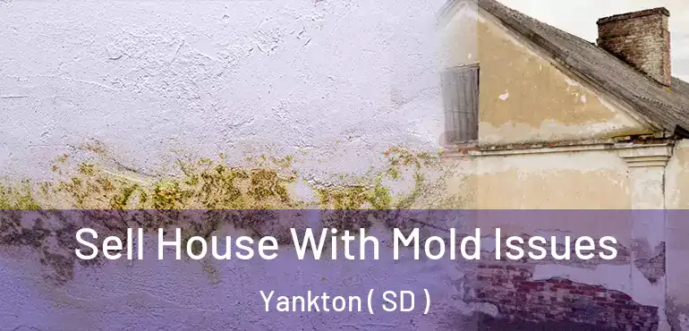  Sell House With Mold Issues Yankton ( SD )