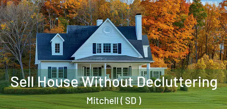  Sell House Without Decluttering Mitchell ( SD )